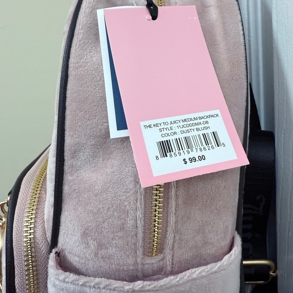 NWT “The Key to Juicy” Medium Backpack in Dusty Blush main image 7